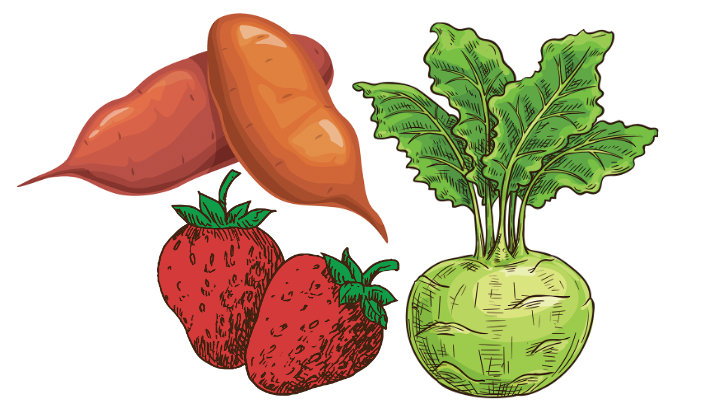 graphic of sweet potato, strawberry and kohlrabi
