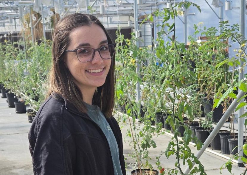 woman standing in front of greenhouse tomato plants