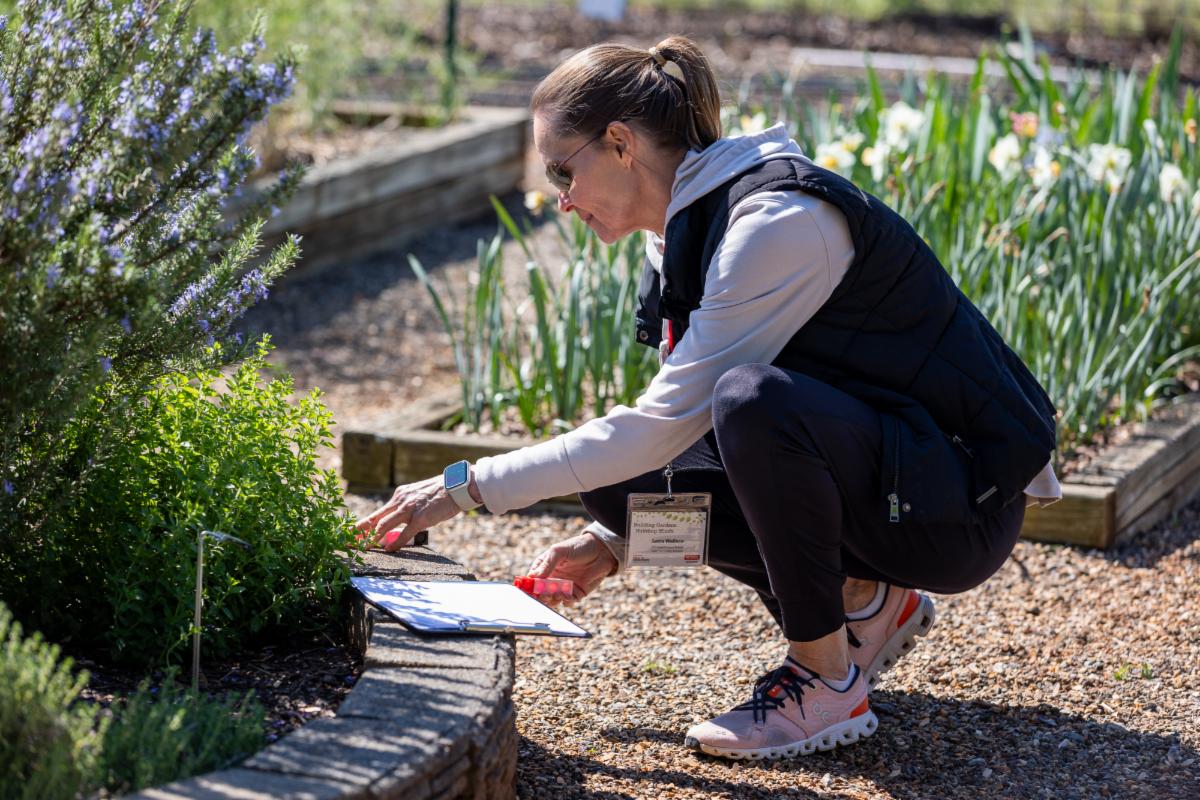 woman with clipboard squats to look at plant in raised garden bed