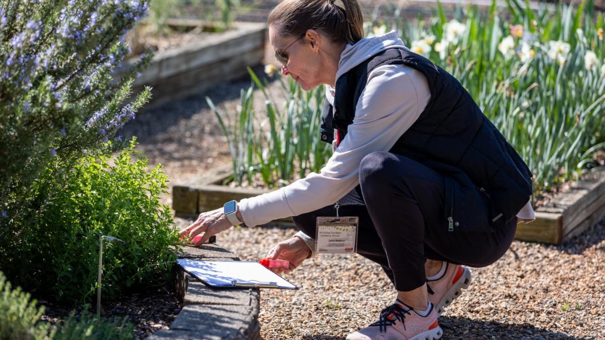 woman with clipboard squats to look at plant in raised garden bed
